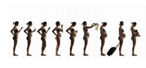 懷孕app排行榜_備孕助手排行版_孕媽app下載