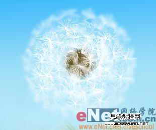 Photoshop制作逼真的風中蒲公英