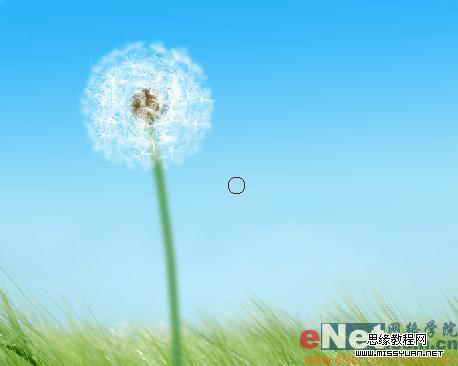 Photoshop制作逼真的風中蒲公英
